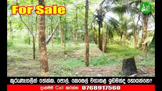 Estate for Sale in Kurunegala DistrictContact  0712041515 0757254142 0352240955  LAK ADS [upl. by Valaree]