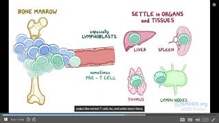 Acute leukemia l Osmosis [upl. by Lepper]