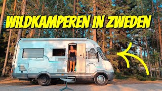 WILDKAMPEREN MET DE CAMPER AAN EEN MEER IN ZWEDEN 206 [upl. by Grannias326]