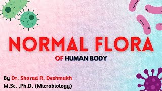 NORMAL FLORA I PART1 I MICROBIOLOGY [upl. by Aicissej]