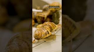 Snail Mucin  How its made tamil shorts science [upl. by Spoor]