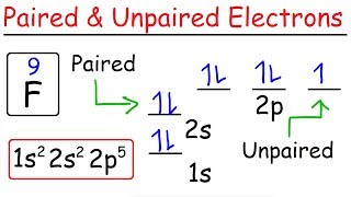 How To Determine The Number of Paired and Unpaired Electrons [upl. by Nomolas784]