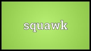 Squawk Meaning [upl. by Boehike35]