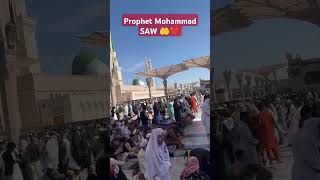 Umrah Live❤️ ytshorts viralvideo muslimworld instagram quran whatsappstatus quranpak qaba [upl. by Kcirreg]