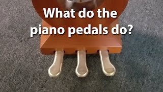 What do the pedals on a piano do  Cunningham Piano Company Philadelphia King of Prussia PA [upl. by Roehm]