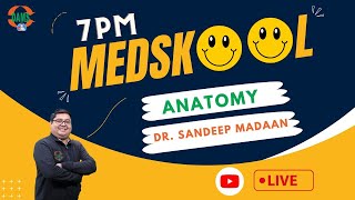 7PM Medskool by DAMS  Anatomy with Dr Sandeep Madaan [upl. by Efinnej]