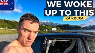 This Is What THEY DONT TELL YOU About Kaikōura Road Trip From Blenheim New Zealand 🇳🇿 [upl. by Hennessey]