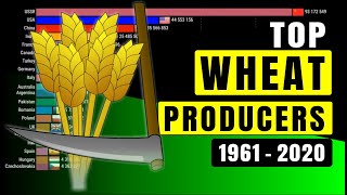 Top Wheat Producing Countries 1961 to 2020 [upl. by Baron386]