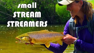 Fly Fishing Streamers on Small Trout Streams  Tips amp Tactics of Drawing Trout to Small Streamers [upl. by Acemahs94]