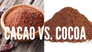 Difference Between Cacao amp Cocoa [upl. by Enamrahs]