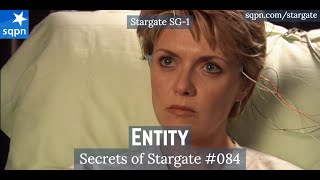 Entity SG1  The Secrets of Stargate [upl. by Naginnarb563]