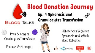 Ep4 Apheresis and Granulocytes Transfusion Blood Donation Journey [upl. by Ydna647]