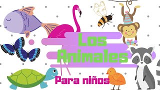 Características de los seres vivos quotLOS ANIMALESquot para niños APRENDE EN CASA [upl. by Ackley497]