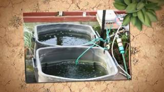 When Should I Change My Nutrient Solution  Steves Hydroponics [upl. by Ecilahc]