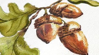 Full vid  Fun Fall Acorn Watercolor Tutorial 🍂 Perfect for Beginners  Lets Get Creative 🍁🎨 [upl. by Acinomaj]