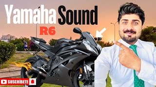 Yamaha R6 Crazy Sound  Detail Review [upl. by Boonie]