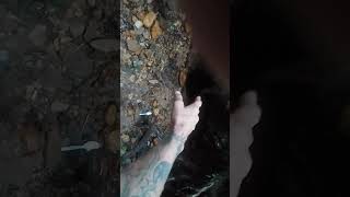 North Carolina Gold prospecting deep cave [upl. by Adnawuj]