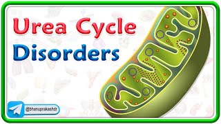 Urea Cycle Disorders Animation  USMLE Step 1 [upl. by Adliwa]