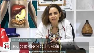 Endokrinoloji nedir  Uzm Dr Sevil SARIKAYA [upl. by Marquardt]