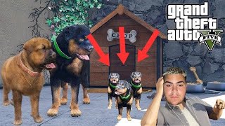 MI PERRO CHOP SE VOLVIO TO LOCO GTA V 2 [upl. by Rann881]