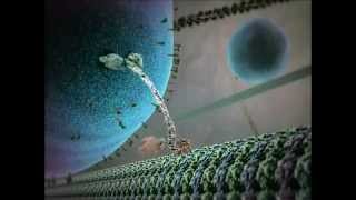 Kinesin protein walking on microtubule [upl. by Federica452]