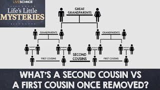 Whats a Second Cousin vs a First Cousin OnceRemoved [upl. by Azil]