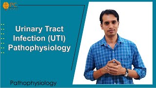 Urinary Tract Infections UTI Pathophysiology and Treatments [upl. by Lecirg]