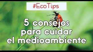 🖐️ 5 CONSEJOS para CUIDAR EL MEDIOAMBIENTE 🌱 parte 1 ☞ EcoTips [upl. by Lirbij]