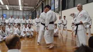 Naka Tatsuya Shihan  1st Day of JKA National Seminar [upl. by Fabien217]