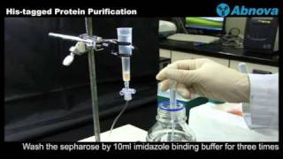 Histagged Protein Purification [upl. by Annahsad934]