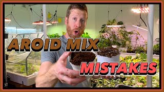 6 AROID MIX Mistakes to AVOID  Rare Plant Potting Mix [upl. by Anis874]