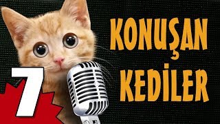 Konuşan Kediler 7  En Komik Kedi Videoları [upl. by Ginevra]