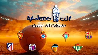 EN DIRECTO ARNEDO CUP Partidos Sábado Tarde Campo de Sendero [upl. by Annaeirb]