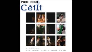 Pure irish Ceili  Reels Hornpipes Jigs Set Dances amp Slip Jigs  St Patricks Day [upl. by Oribel530]