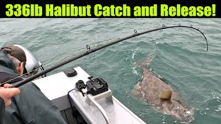 336lb Halibut Catch and Release Alaskan Halibut Fishing  Petersburg Alaska JULY 2024 halibut [upl. by Ahsrav]