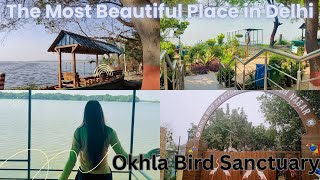 Okhla Bird Sanctuary 😇❤️ Today Vlog Beautiful place Delhi vlog vlogvideo vlogs vlogger views [upl. by Nosnehpets]