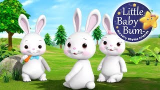 Bunnies Bunnies  Nursery Rhymes for Babies by LittleBabyBum  ABCs and 123s [upl. by Jessabell]