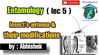 Insects Antenna  Its modifications  Learning trick  Entomology lec 5  Go For Agriculture [upl. by Orpha]