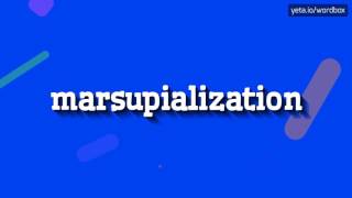 MARSUPIALIZATION  HOW TO PRONOUNCE IT [upl. by Suivatco]