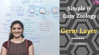 Germ Layers  Formation  Ectoderm  Endoderm  Mesoderm  Derivatives Diploblastic  Triploblastic [upl. by Vilhelmina381]