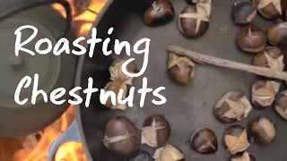 Roasting Chestnuts  Green Renaissance [upl. by Idolla]