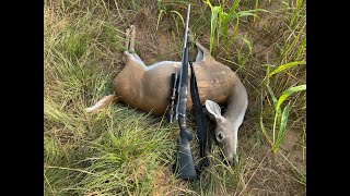 GEORGIA PUBLIC LAND DEER HUNTING  EARLY RIFLE HUNT [upl. by Annehcu]