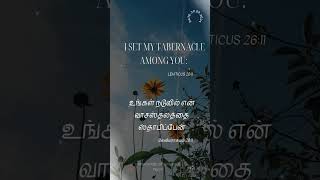 gospelinspiration mizpahhouseofworshiptrichy bibleverse gospelofjesuschrist [upl. by Raphaela219]