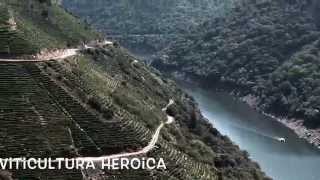 Ribeira Sacra  Enoturismo y viticultura eroica en Galicia [upl. by Alaj]