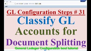 GL Configuration Steps 31 Classify GL Accounts for Document Splitting [upl. by Ellynad]