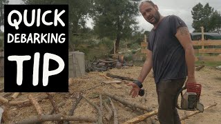 How to debark a tree with a chainsaw  2 minute tip [upl. by Chee95]