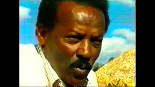 Eritrean Music  Engineer Asgedom WMicheal Goita Bahri Goita Mbri [upl. by Clorinde]