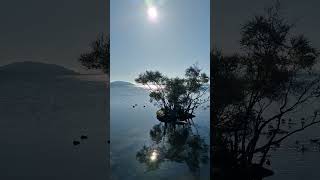 Lake Rotorua New Zealand [upl. by Neeloj]