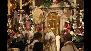 MISSA PONTIFICALIS 2014 cardinalis Burke Vienna [upl. by Corley]