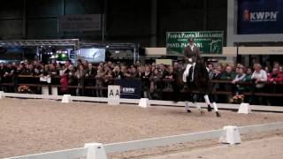 Ampere 2010 Stallion Show Part 2 of 2 [upl. by Zebulen]